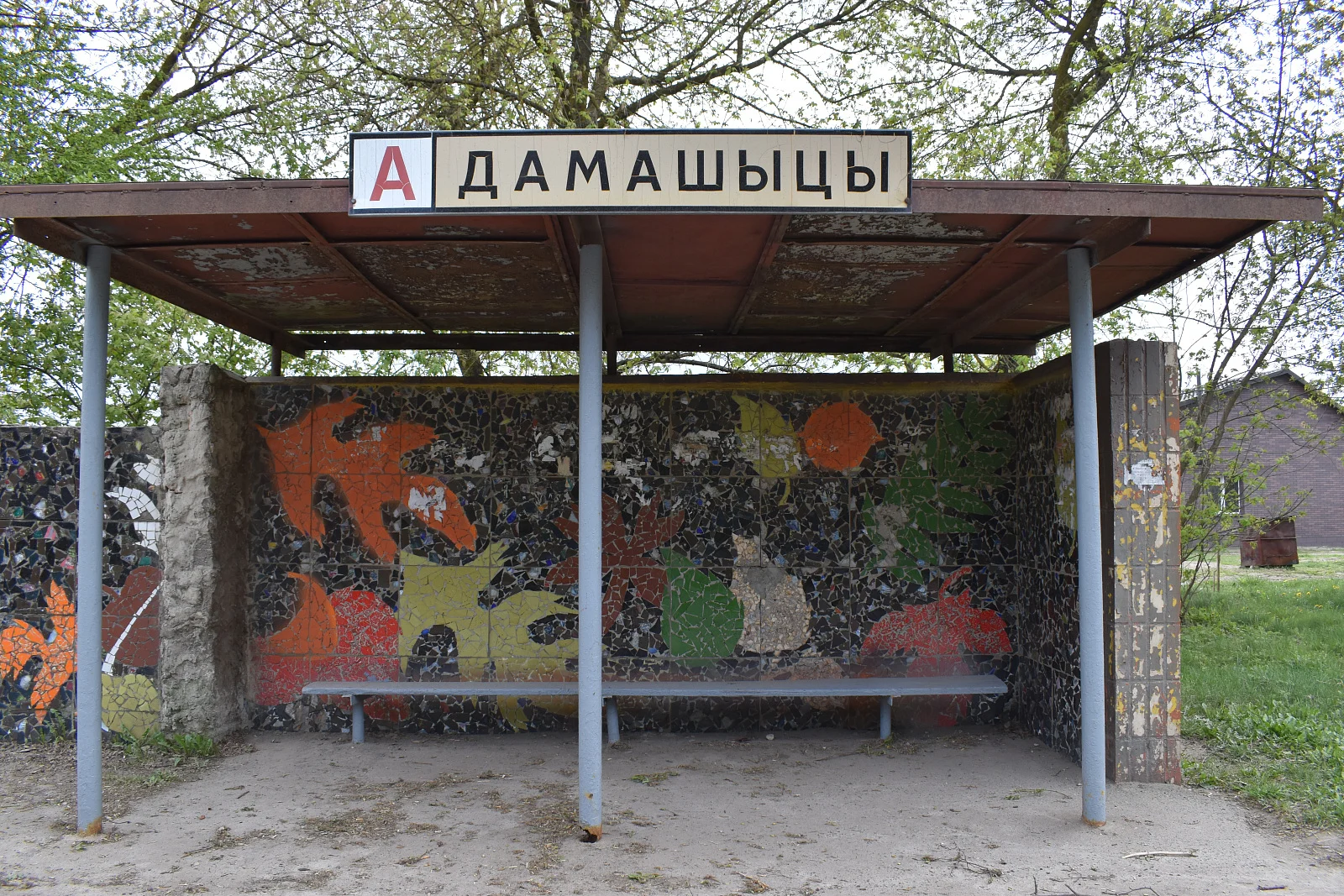 Домашицы