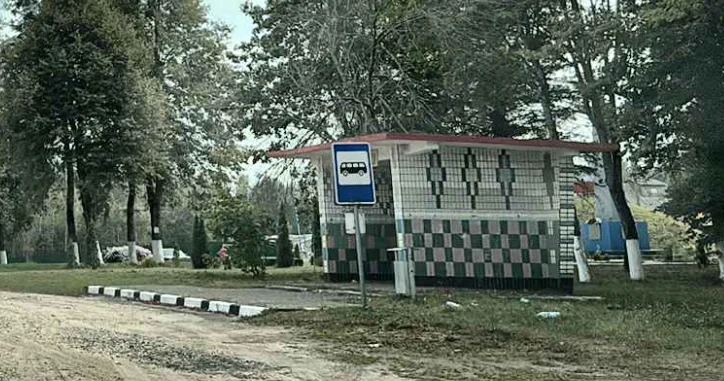 Нивки