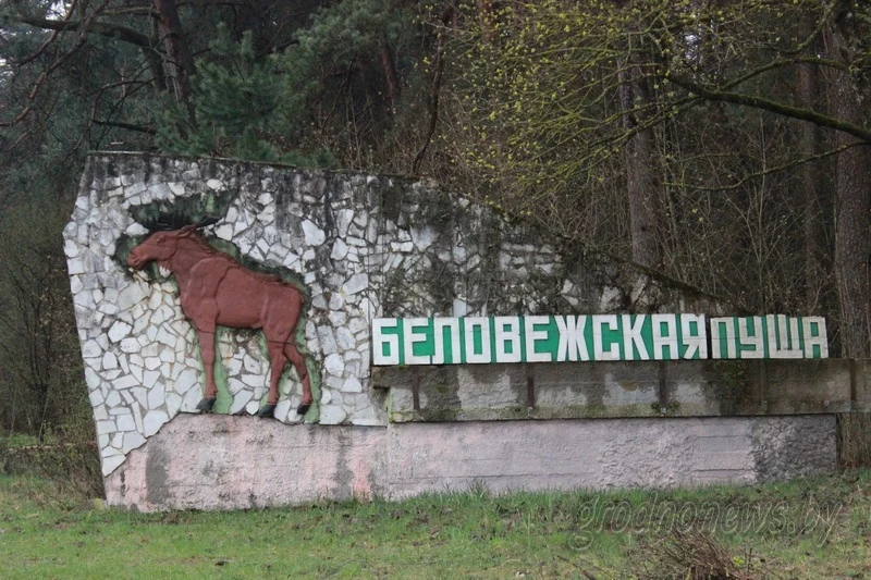Беловежская пуща въездная стела
