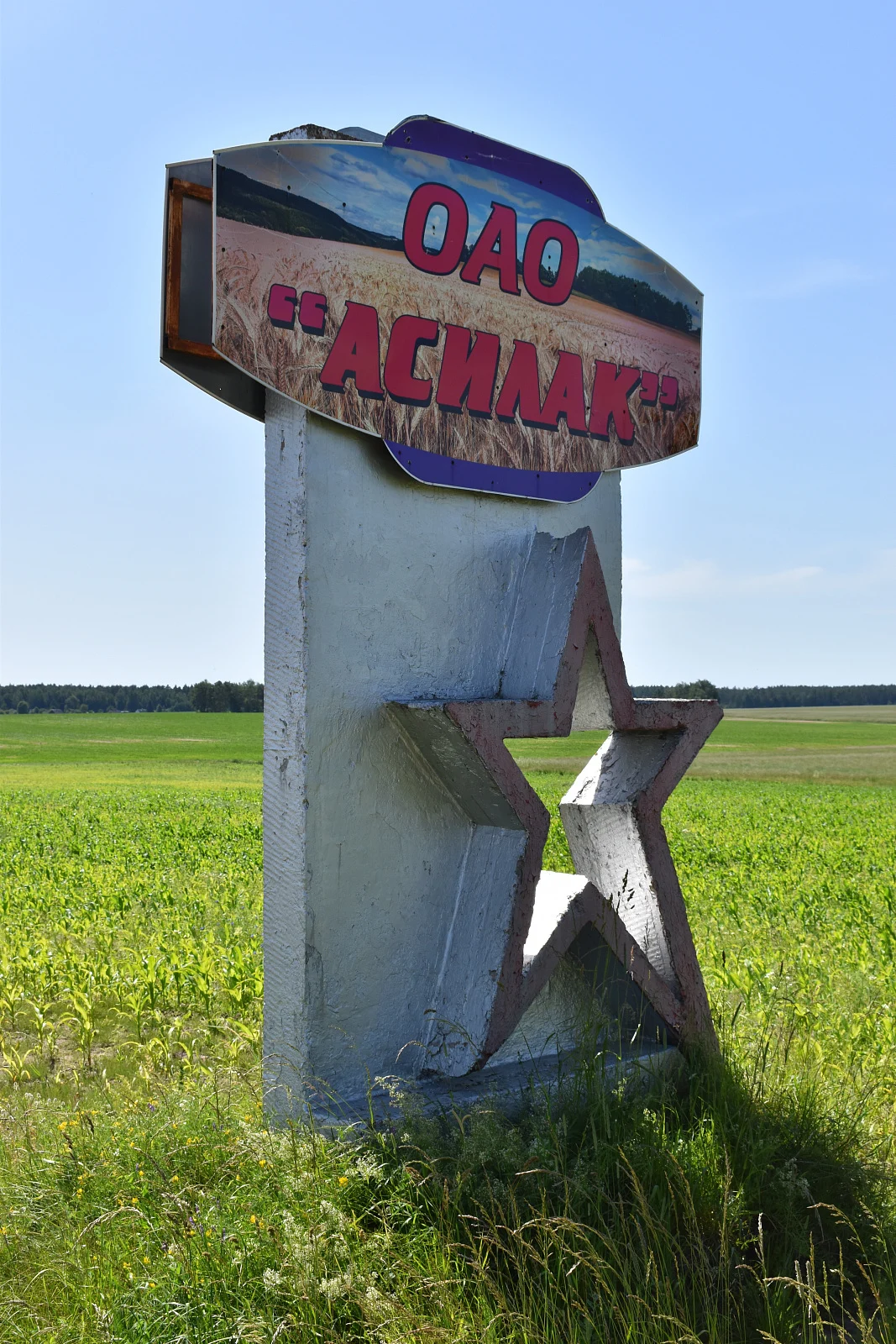 ОАО Асилак