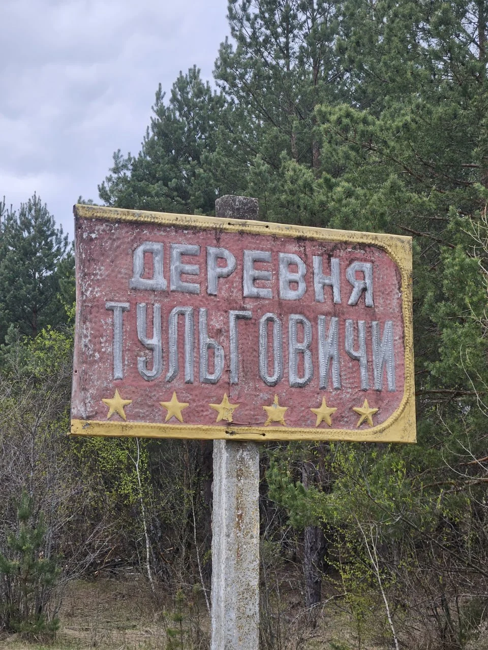 деревня Тульговичи