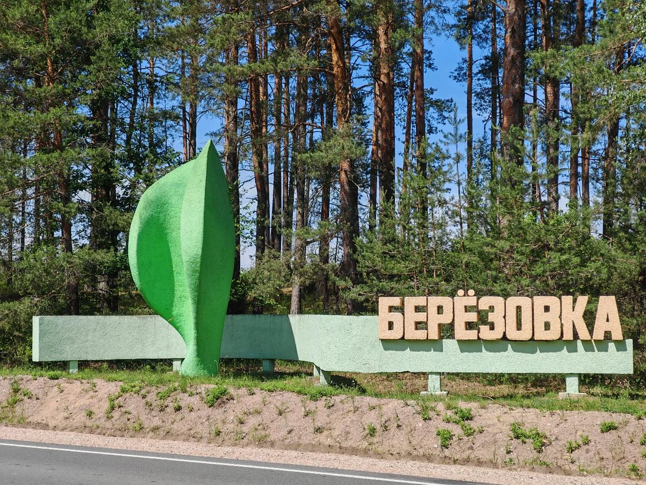 Берёзовка