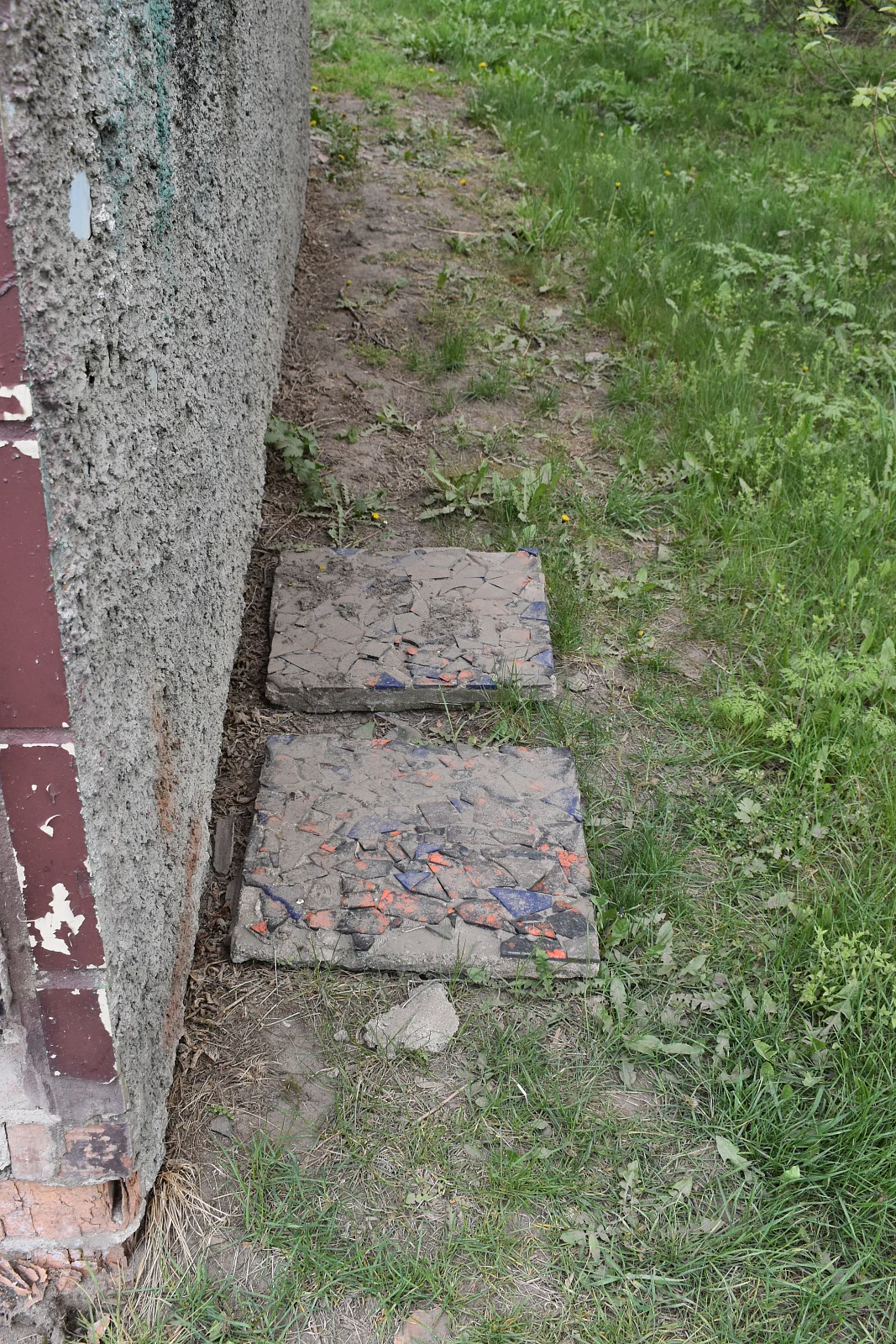Домашицы