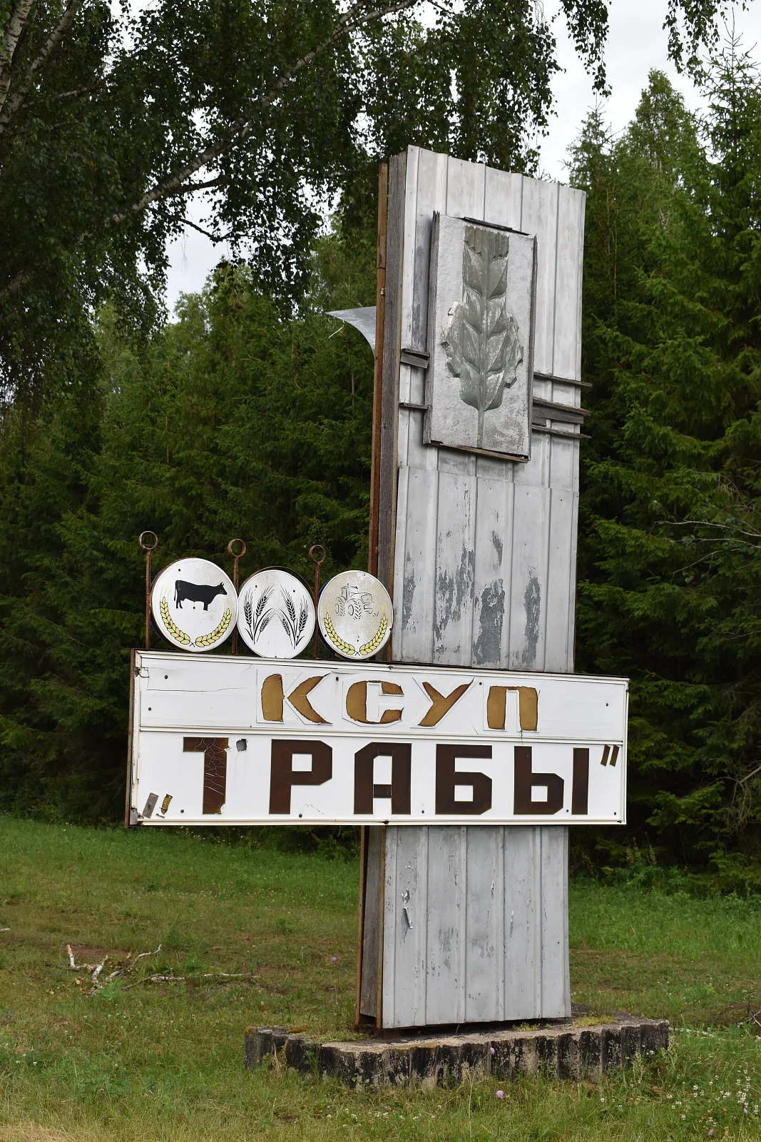 Трабы