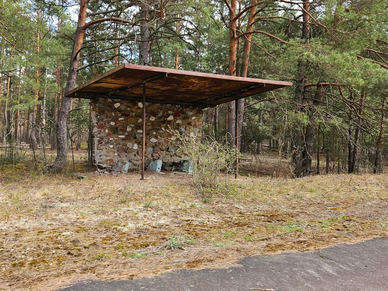 Оревичи